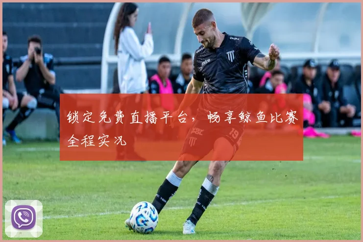 锁定免费直播平台，畅享鲸鱼比赛全程实况